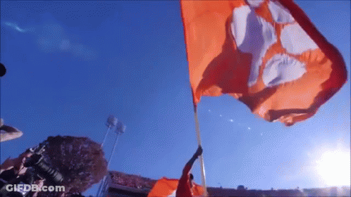 Person Holding Orange Flag With C GIF