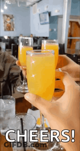 Person Holding Orange Juice Cheers GIF