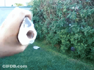 Person Holding Paper In Front Of Bush GIF