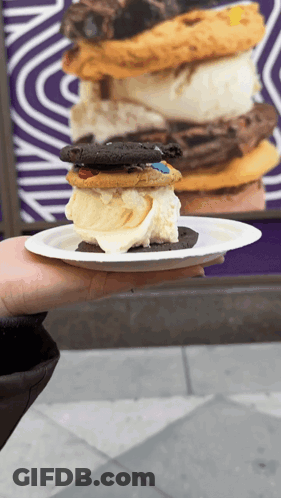 Person Holding Paper Plate With Cookie Sandwich GIF