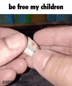 Person Holding Paper Saying Be Free My Children GIF