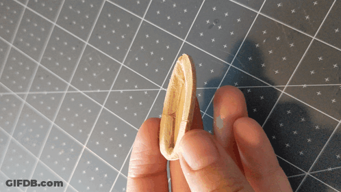 Person Holding Piece Of Wood GIF