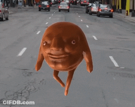 Person Holding Pig With Two Heads And Two Legs GIF