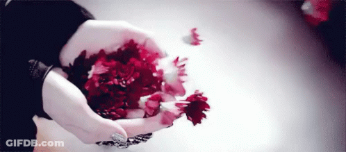 Person Holding Pile Of Red Flowers GIF