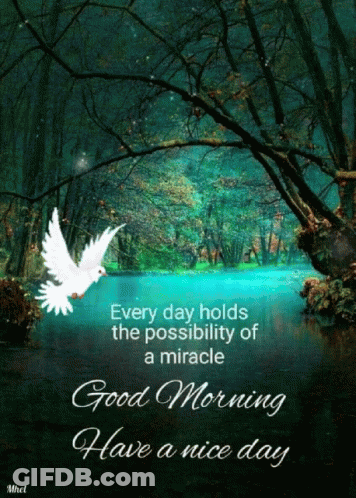 Person Holding Pink Flower Saying Good Morning Babe GIF