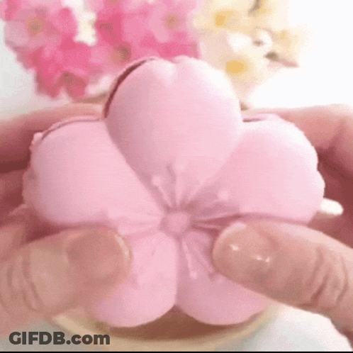 Person Holding Pink Flower GIF