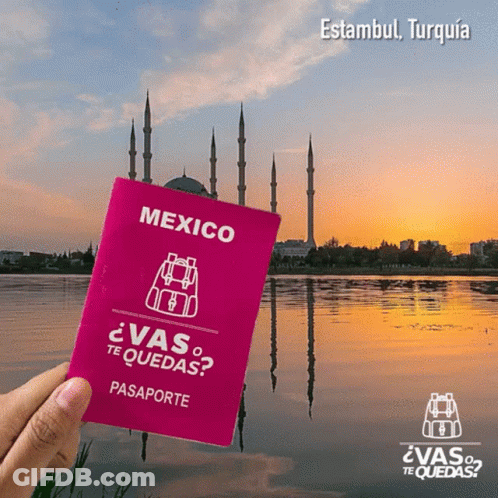 Person Holding Pink Mexico Passport In Front Of Lake GIF