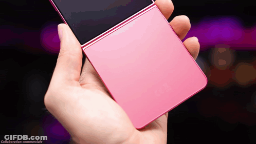 Person Holding Pink Phone With Collaboration Commerziale GIF