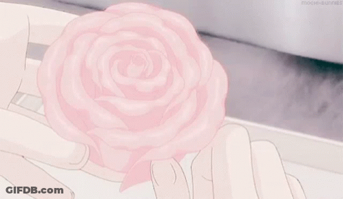 Person Holding Pink Rose GIF