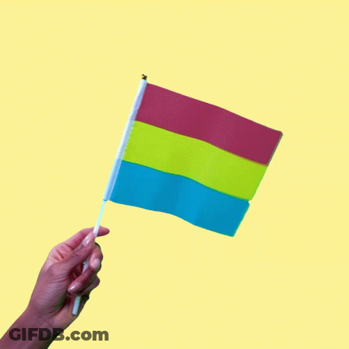 Person Holding Pink Yellow Blue Flag GIF