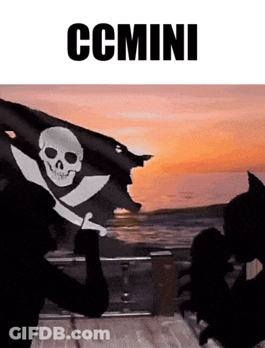 Person Holding Pirate Flag With Skull And Crossbones GIF