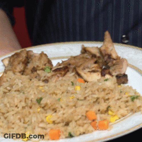 Person Holding Plate Of Rice And Meat GIF