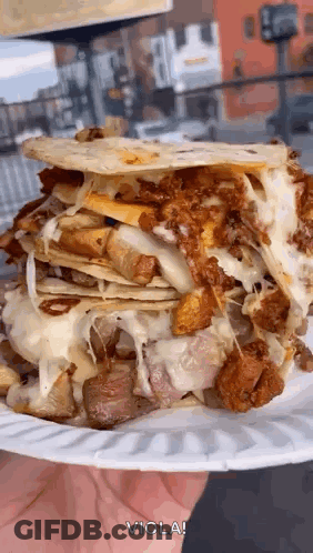 Person Holding Plate With Sandwich GIF