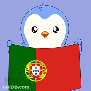 Person Holding Portuguese Flag On Soccer Field Number 1 GIF
