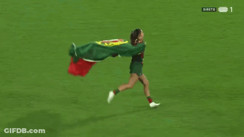 Person Holding Portuguese Flag Soccer Field 1 GIF