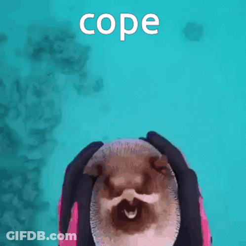 Person Holding Puffer Fish Cope GIF