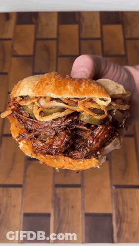 Person Holding Pulled Pork Sandwich With Onion Rings GIF