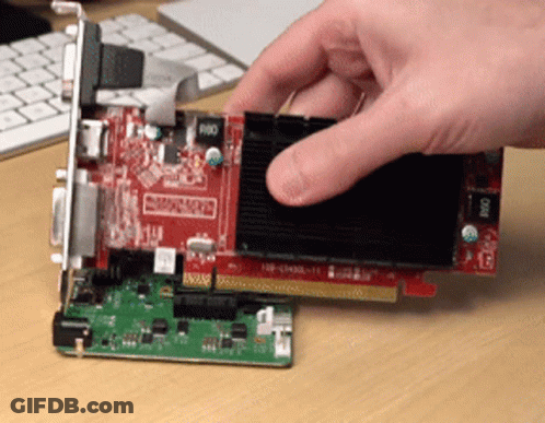 Person Holding Radeon Graphics Card GIF