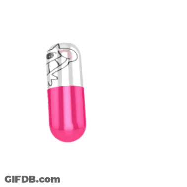 Person Holding Rainbow Flags GIF