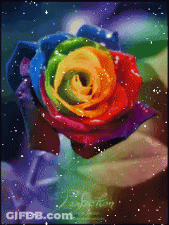 Person Holding Rainbow Rose With Jackson GIF