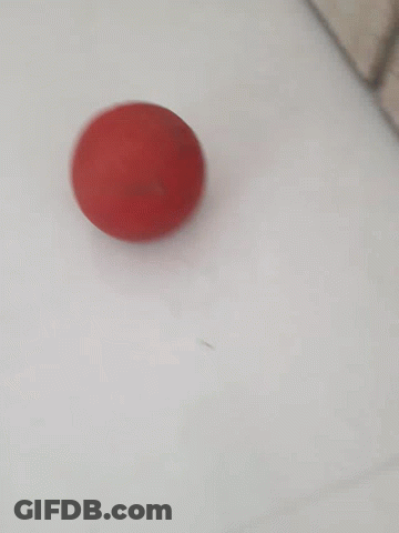 Person Holding Red Ball GIF