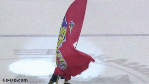 Person Holding Red Flag With Logo On Ice GIF