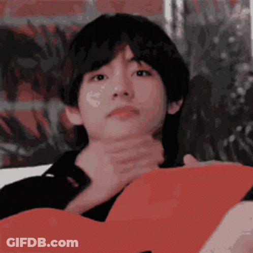 Person Holding Red Heart-Shaped Pillow GIF