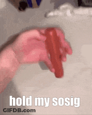 Person Holding Red Hot Dog Saying Hold My Sosig GIF
