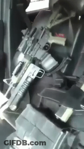 Person Holding Rifle In Back Seat GIF