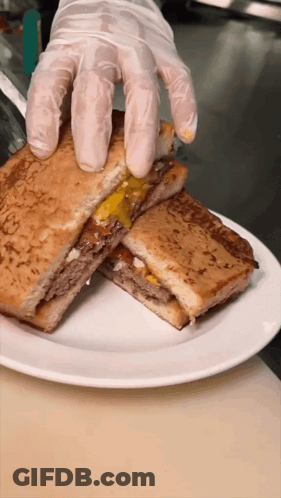 Person Holding Sandwich GIF