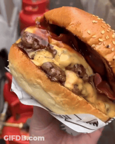 Person Holding Sesame Seed Hamburger GIF