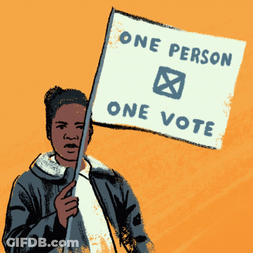 Person Holding Sign One Person One Vote GIF