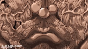 Person Holding Sign Why Are The British So Apologetic GIF