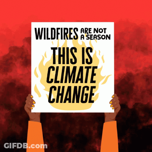 Person Holding Sign Wildfires Are Not A Season GIF