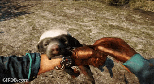 Person Holding Small Animal With Watch On Wrist GIF