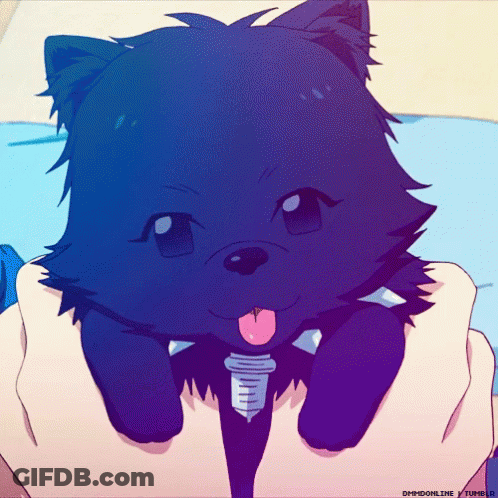 Person Holding Small Black Cat With Tongue Out GIF