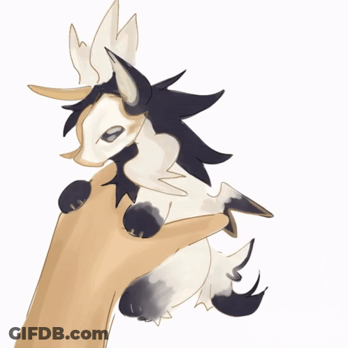 Person Holding Small White And Black Animal GIF