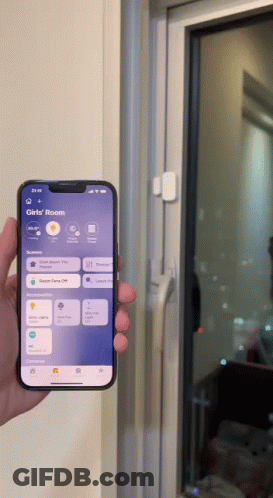 Person Holding Smartphone With Girls Room App Open GIF