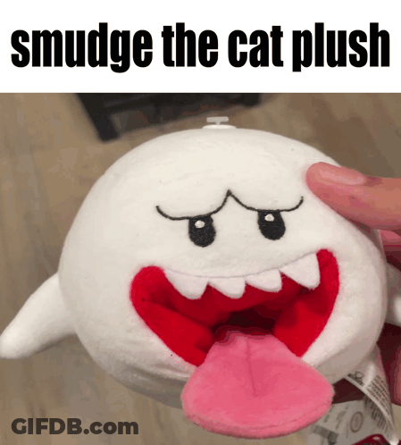 Person Holding Smudge The Cat Plush GIF