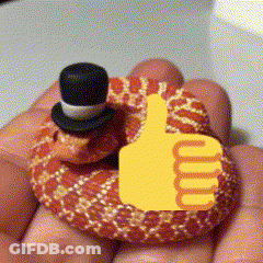 Person Holding Snake In Top Hat Thumbs Up GIF