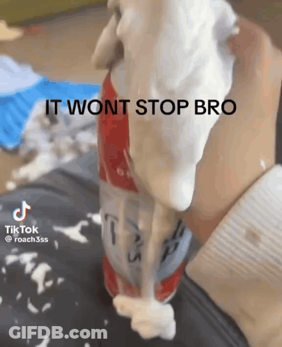 Person Holding Soda With Whipped Cream Saying It Won't Stop Bro GIF