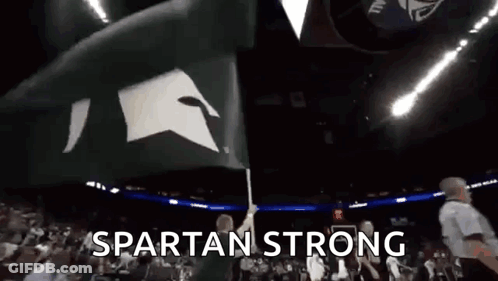 Person Holding Spartan Flag In Front Of Crowd GIF