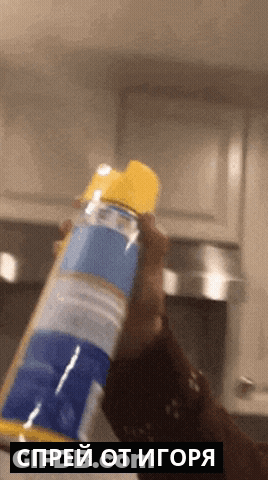 Person Holding Spray Bottle Saying Spray GIF