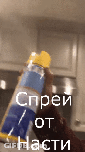 Person Holding Spray Bottle With Spray From Nasti GIF