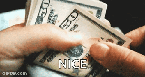 Person Holding Stack Of 20 Dollar Bills Nice GIF