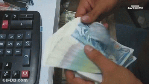 Person Holding Stack Of Money GIF