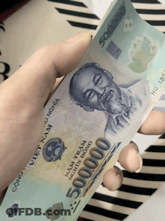 Person Holding Stack Of Vietnamese Money GIF