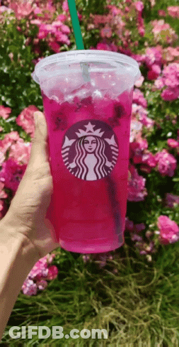 Person Holding Starbucks Drink GIF