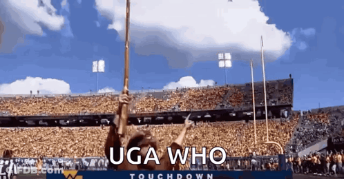 Person Holding Stick In Stadium Saying Uga Who Touchdown GIF