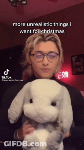 Person Holding Stuffed Animal More Unrealistic Things I Want For Christmas GIF